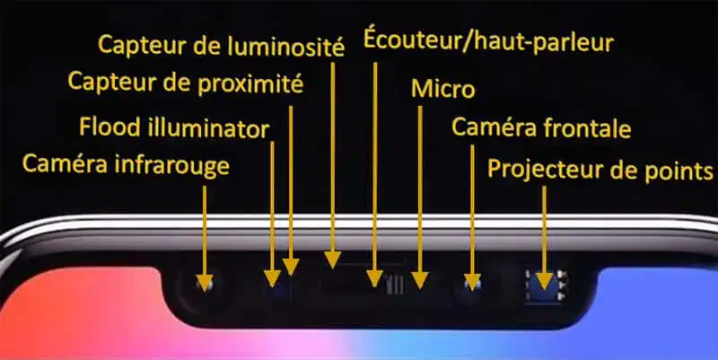 elements face id elements face id