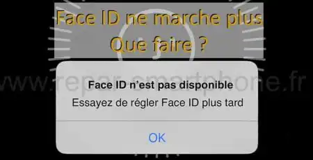 face id n'est pas disponible apercu
