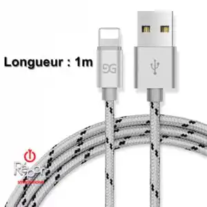 Cable de charge gris iPhone photo 1 1 metre