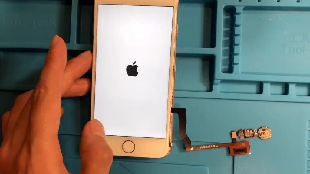 allumer iphone pour tester la nouvelle nappe interne de bouton home iphone 7 7 plus 8 8 plus allumer iphone pour tester la nouvelle nappe interne de bouton home iphone 7 7 plus 8 8 plus